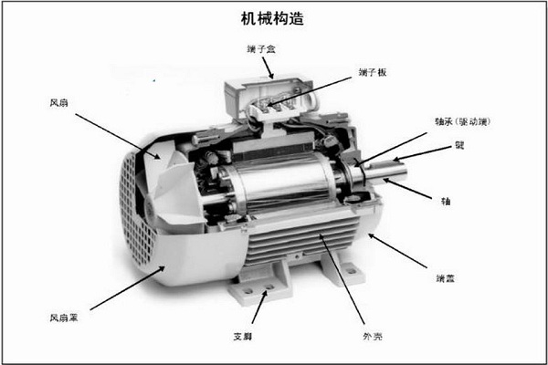 電動機類型詳細解讀